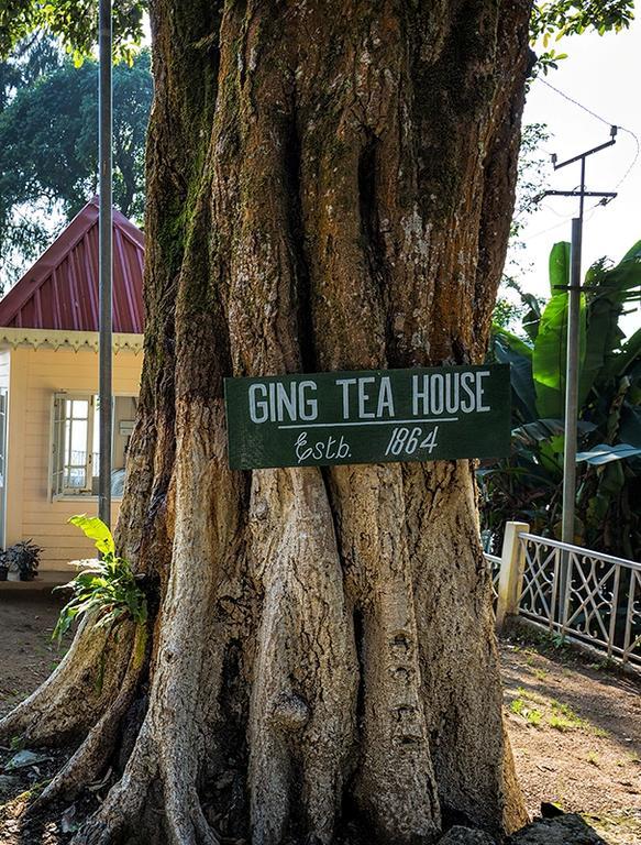 Maison d'hôtes Ging Tea House à Darjeeling  Extérieur photo